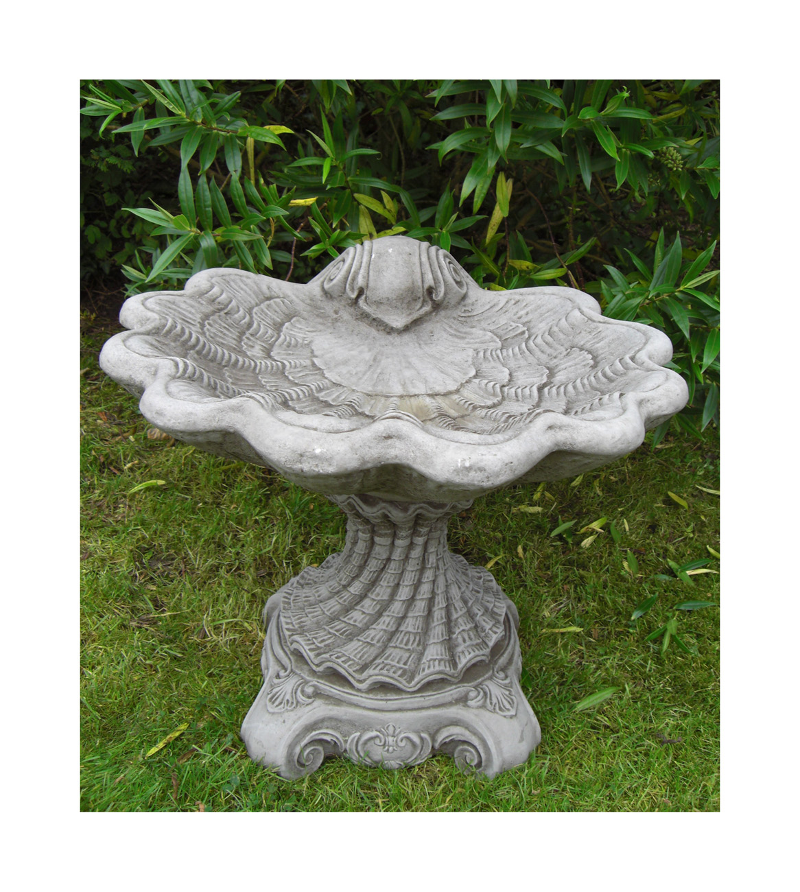 LARGE SEA SHELL BIRD BATH Frost Proof Cast Stone Garden Ornament